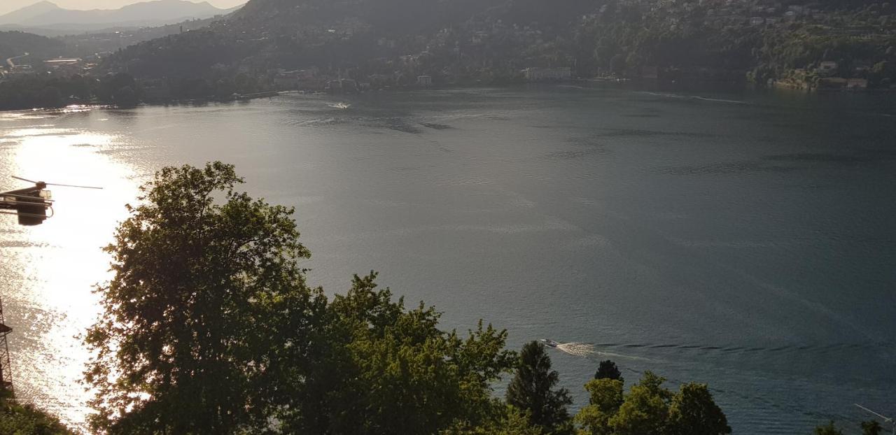 בלביו La Terrazza Sul Lago Di Como Con Garage מראה חיצוני תמונה