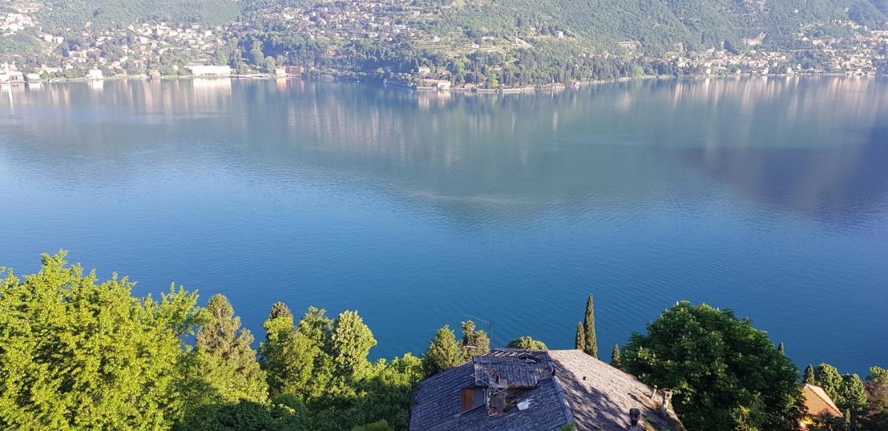 בלביו La Terrazza Sul Lago Di Como Con Garage מראה חיצוני תמונה