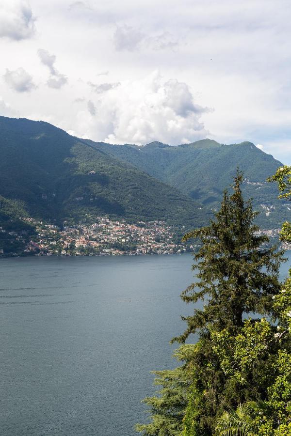 בלביו La Terrazza Sul Lago Di Como Con Garage מראה חיצוני תמונה