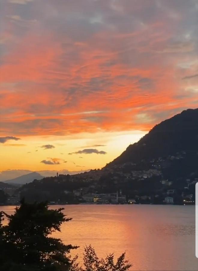 בלביו La Terrazza Sul Lago Di Como Con Garage מראה חיצוני תמונה